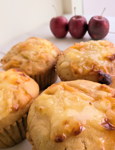 本日のお品書き