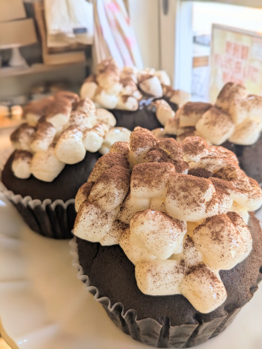 本日のお品書き