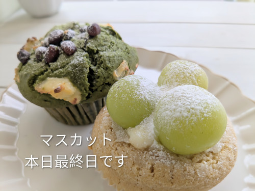 本日のお品書き