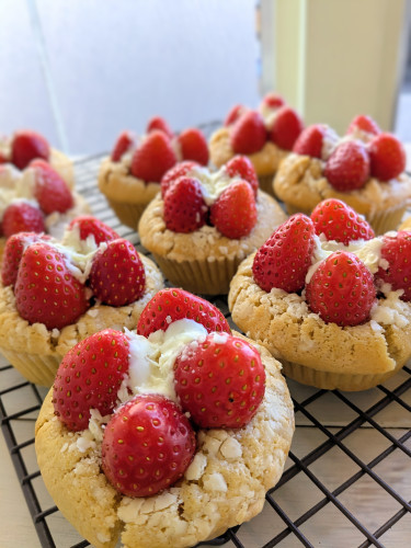 本日のお品書き