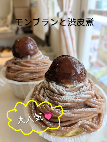 本日のお品書き