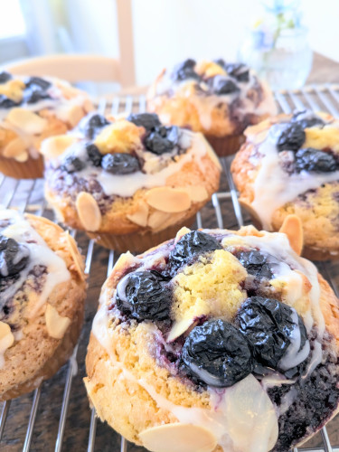 本日のお品書き