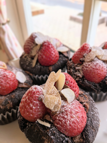 本日のお品書き