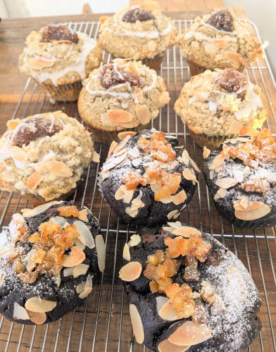 本日のお品書き