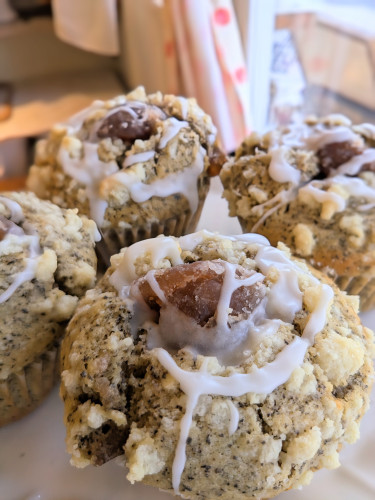 本日のお品書き