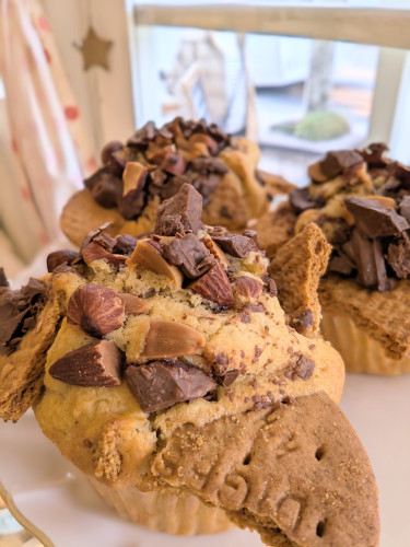 本日のお品書き