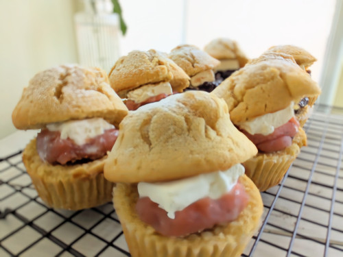 本日のお品書き