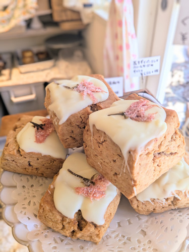 本日のお品書き