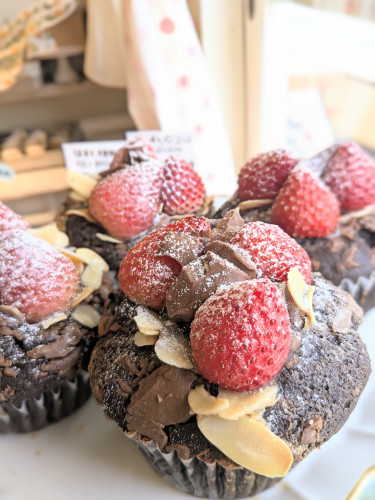 本日のお品書き