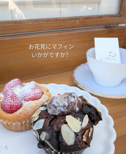 本日のお品書き