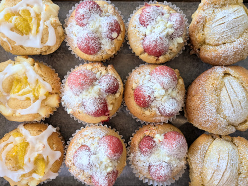 本日のお品書き