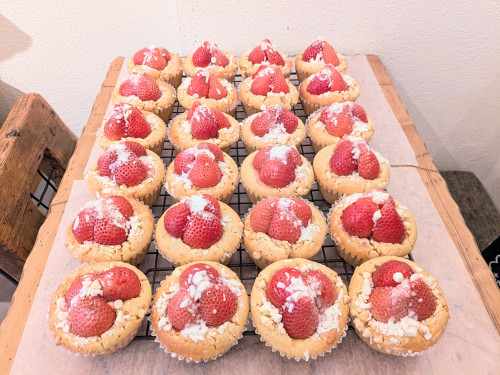 本日のお品書き