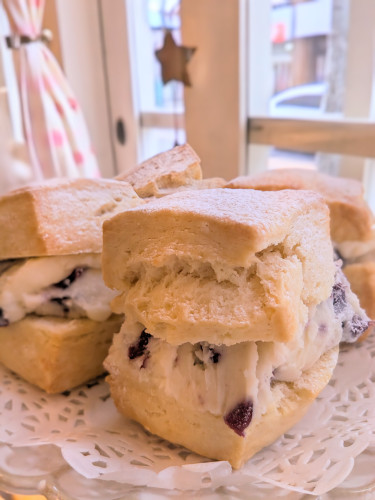 本日のお品書き