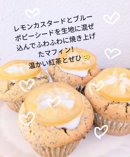 本日のお品書き