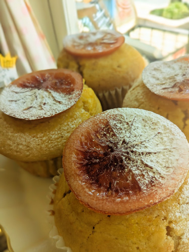 本日のお品書き