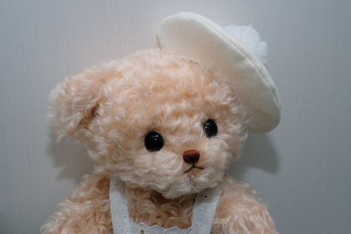 第29回日本テディベア with Friends コンベンション出展について