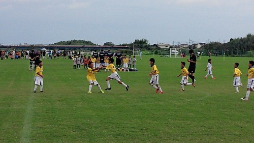 DSC_4111.jpg