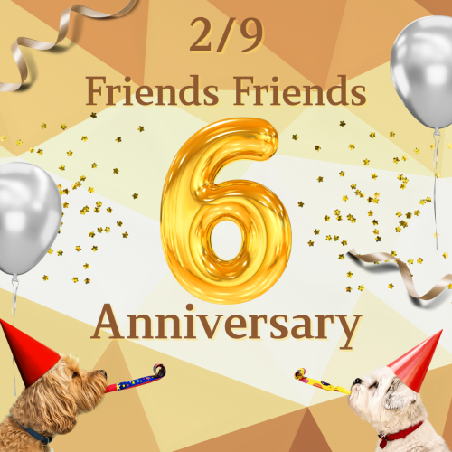 6周年感謝祭開催!🎉