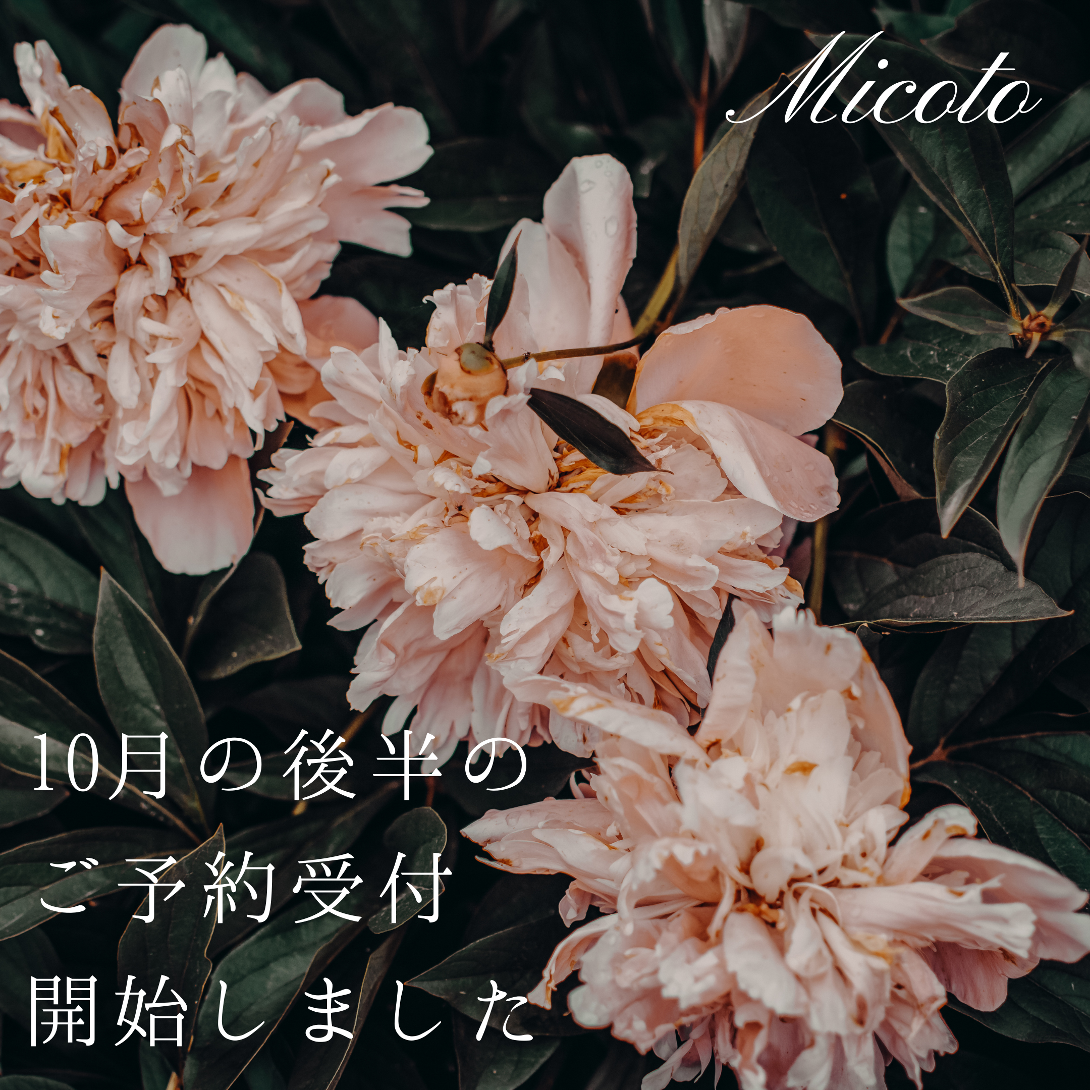 一般の皆様のご予約受付スタート