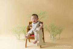 ハーフバースデー・1歳バースデー データプラン