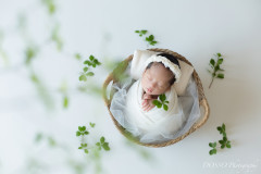 ニューボーン データプラン