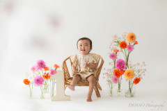 ハーフバースデー・1歳バースデー データプラン