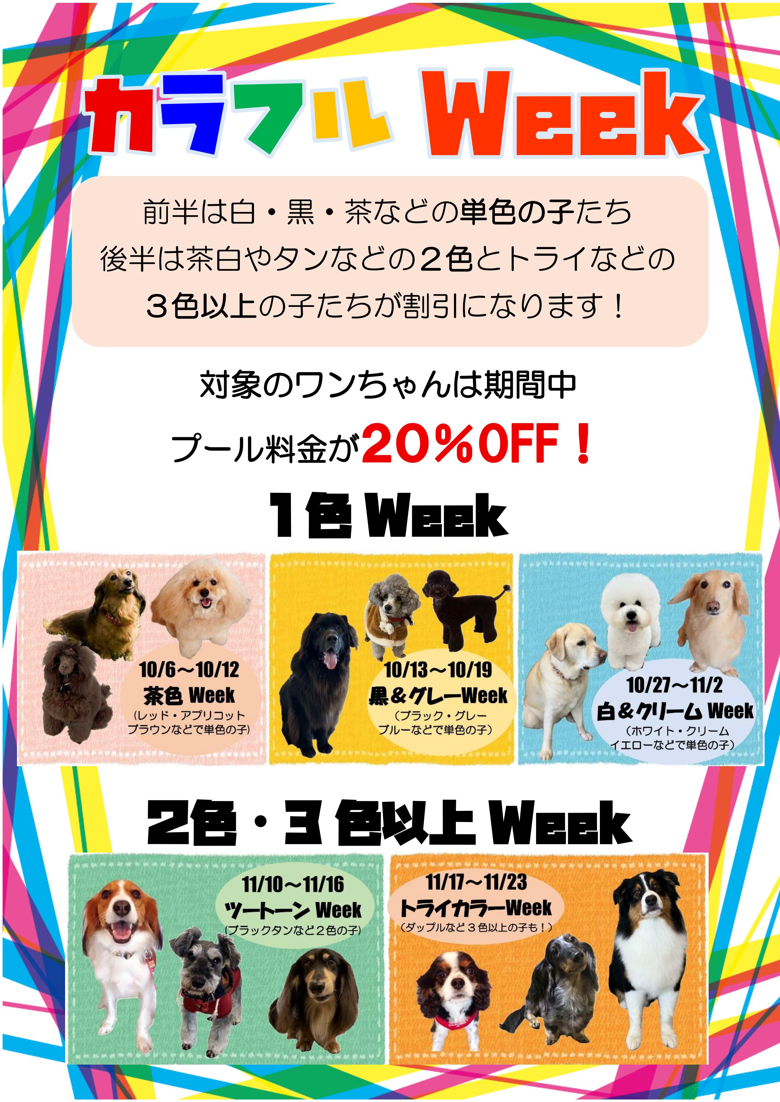 10月はカラフルWeek