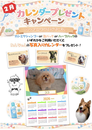 2月美容キャンペーン