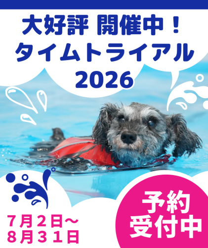 タイムトライアル中間発表!!