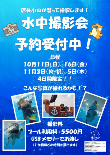 水中撮影会予約受付中!