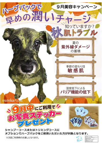 9月美容キャンペーン