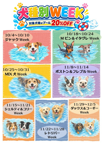 犬種別WEEK 10月~