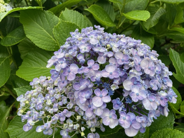 6月・7月空席状況