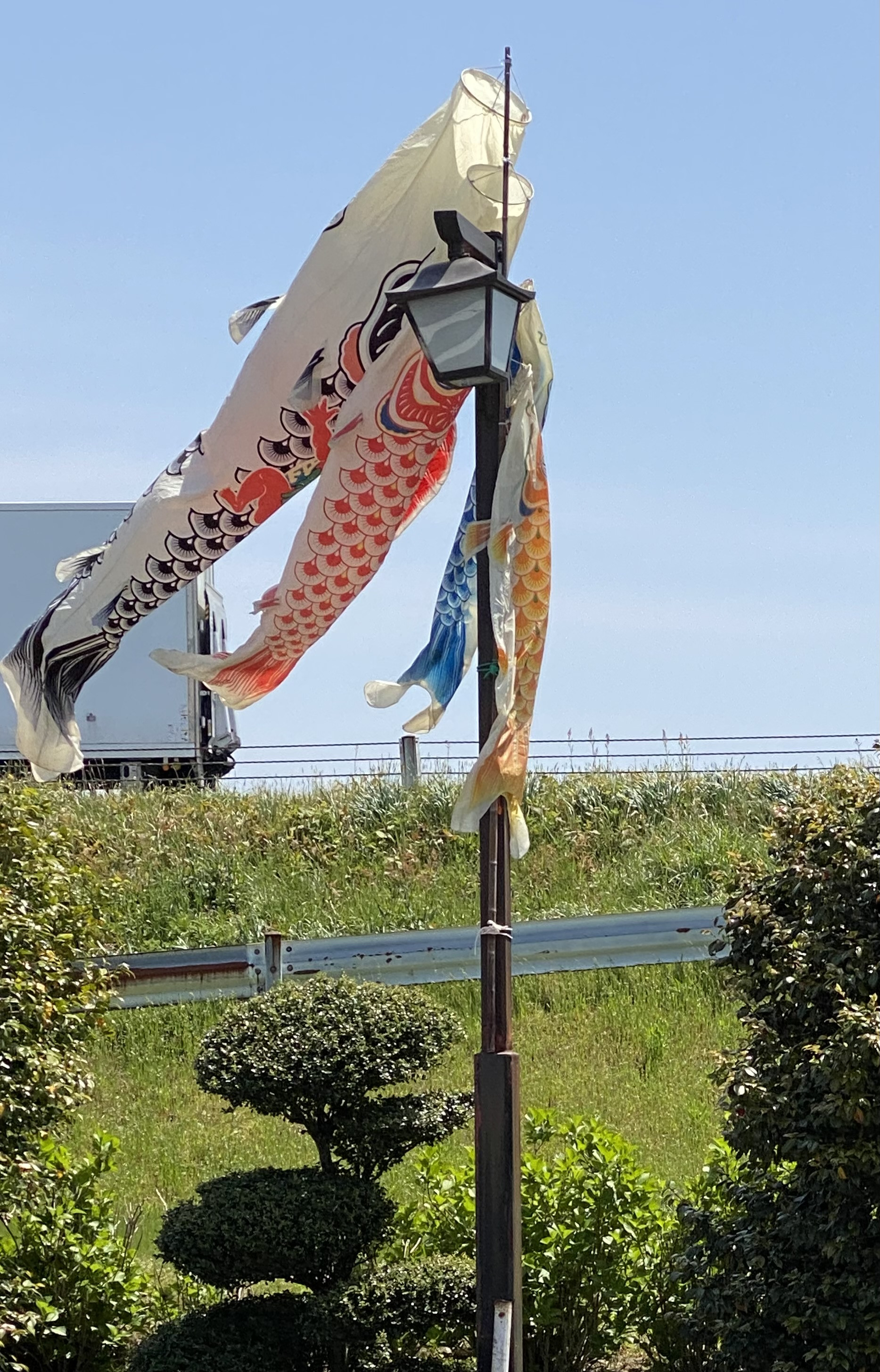 本日も無事完売させていただぃましたう