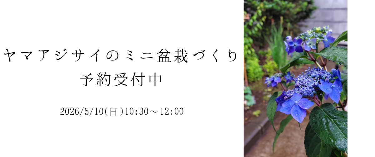 詳細は画像をクリックしてください