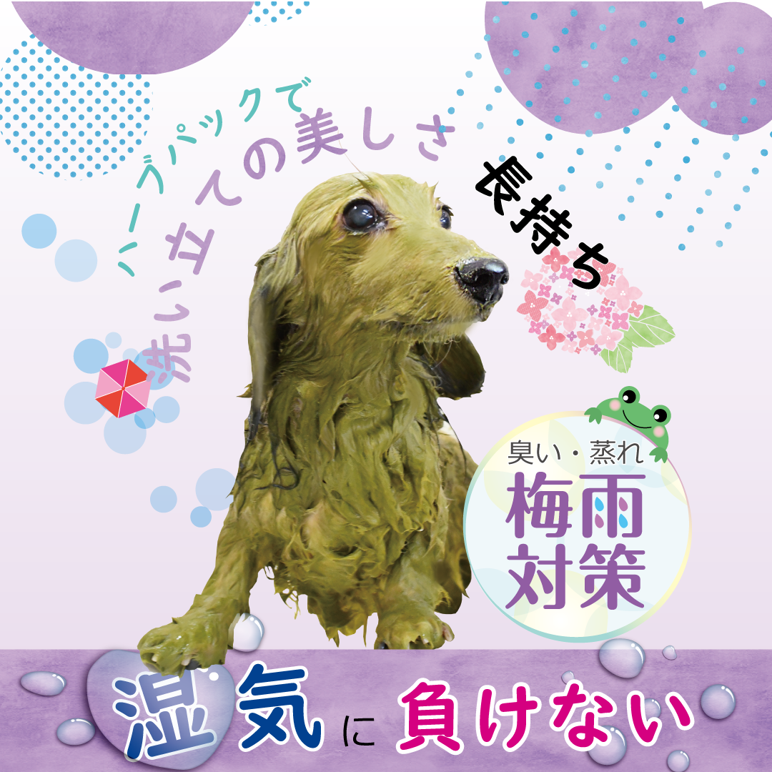 6月のお知らせ