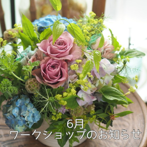 2CB4BB8C-893F-47F6-A37F-E5BF567AAF6F.jpeg