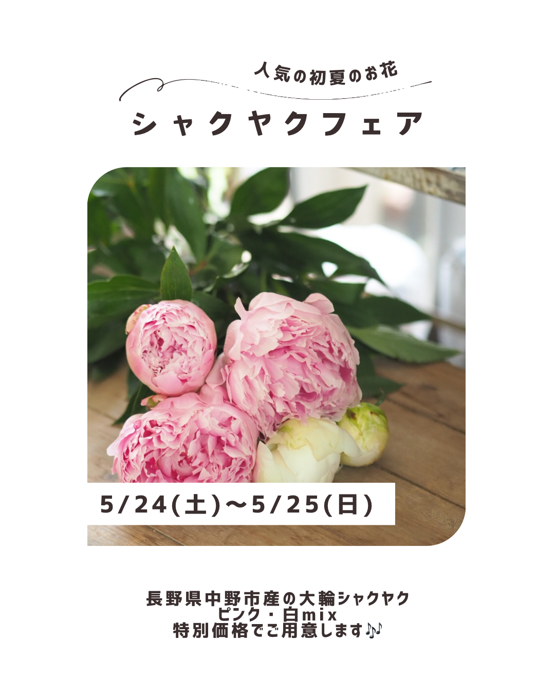 シャクヤクフェア