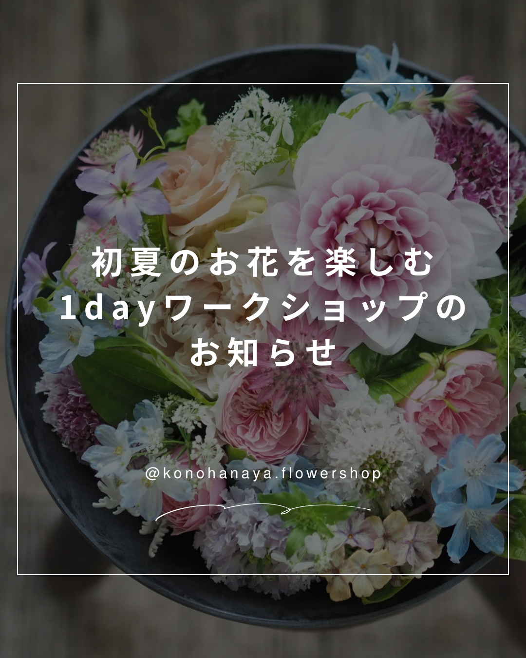 ワークショップお知らせ(画像) - 1.png