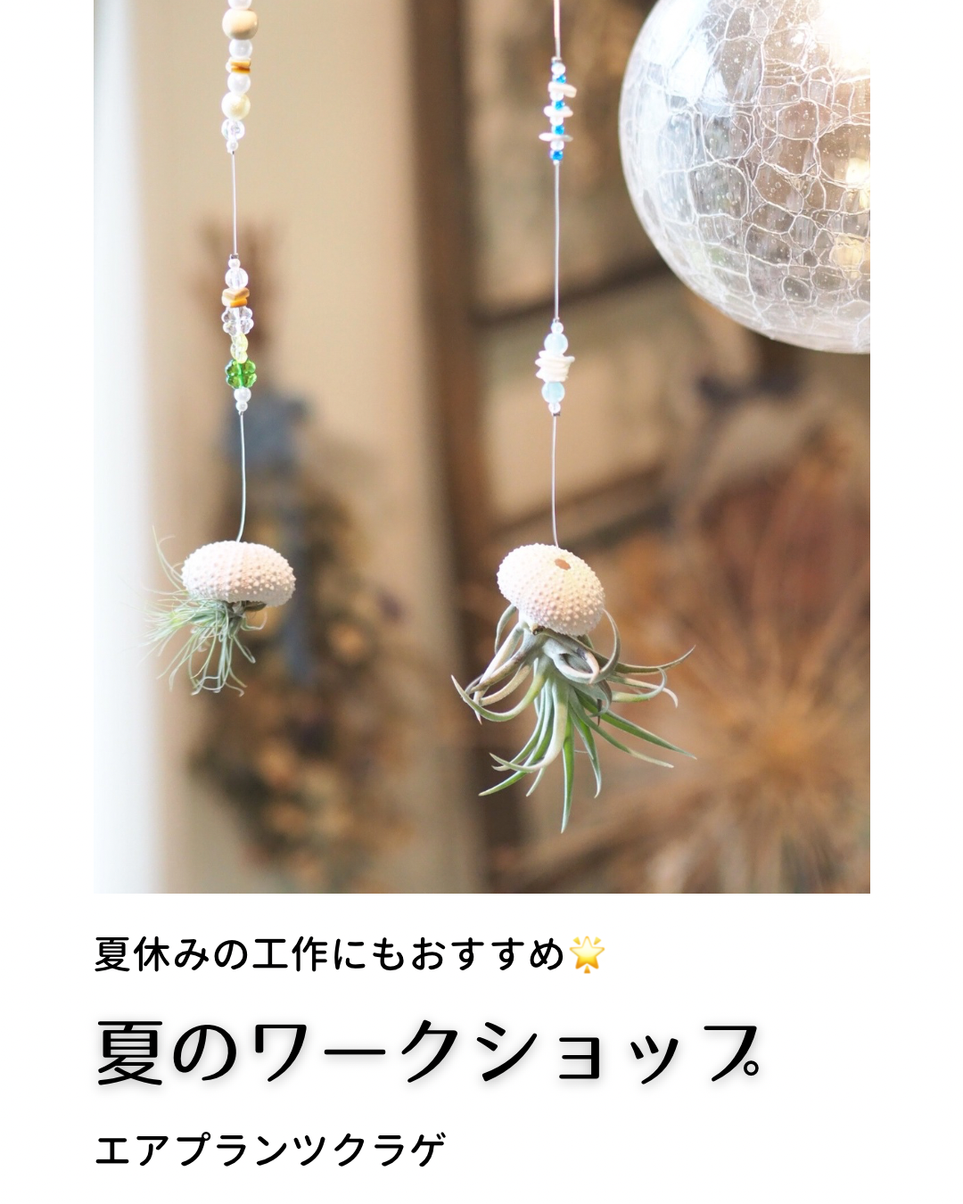 【更新】夏の1dayワークショップのお知らせ