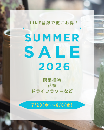 2026 Summer SALE 開催します(7/23~8/5)