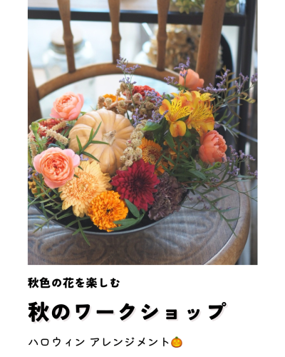 秋のワークショップ開催のお知らせ