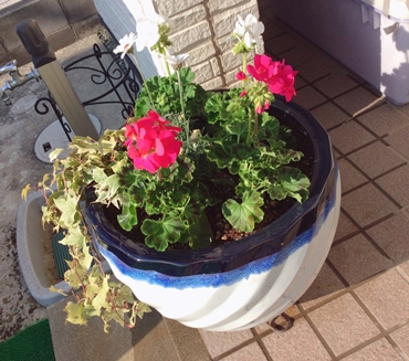 5月の最新予約状況(4/5更新)