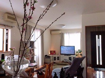 梅が咲きました、古い角質つるつる、足取り軽くなっちゃおー