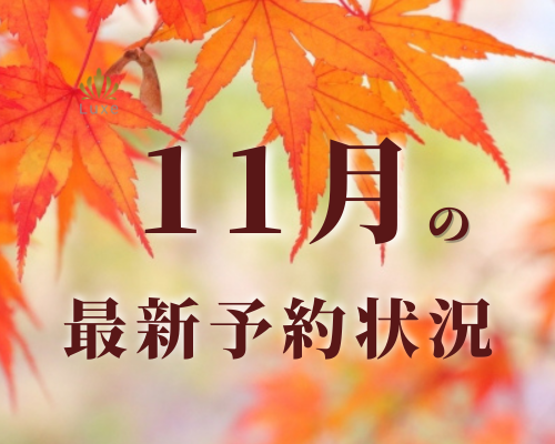 11月の最新予約空き状況(9/26日更新)