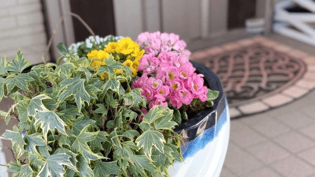 選べるオプション付 『王女様の休日コース』ご予約受付中!