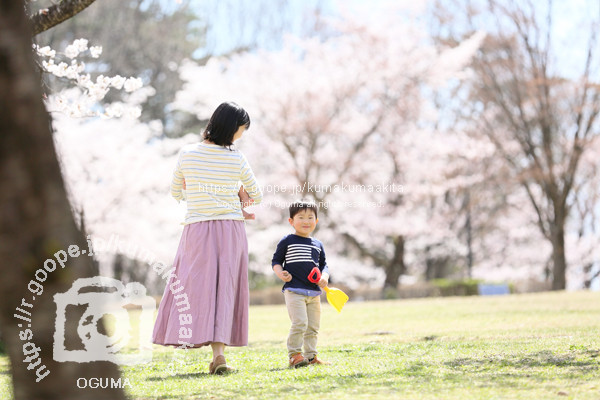 4月4日9時から桜撮影会ご予約開始