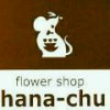 flower shop 
hana-chu
