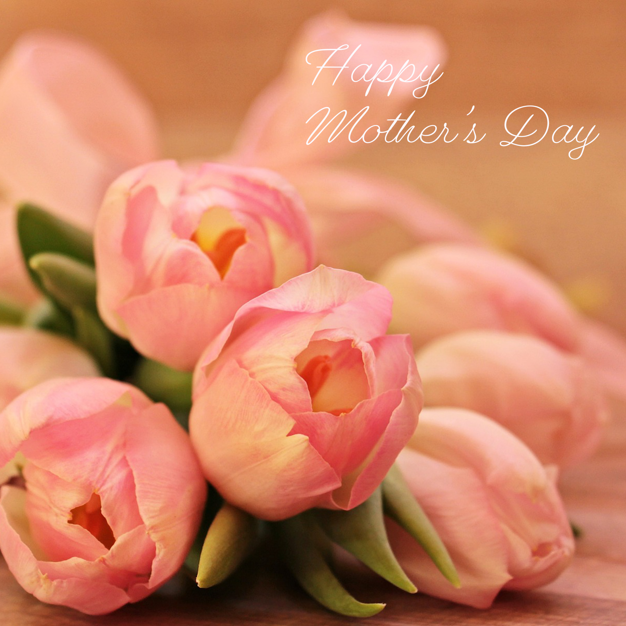 happy-mothers-day-gbb7acec4d_1920-2.png