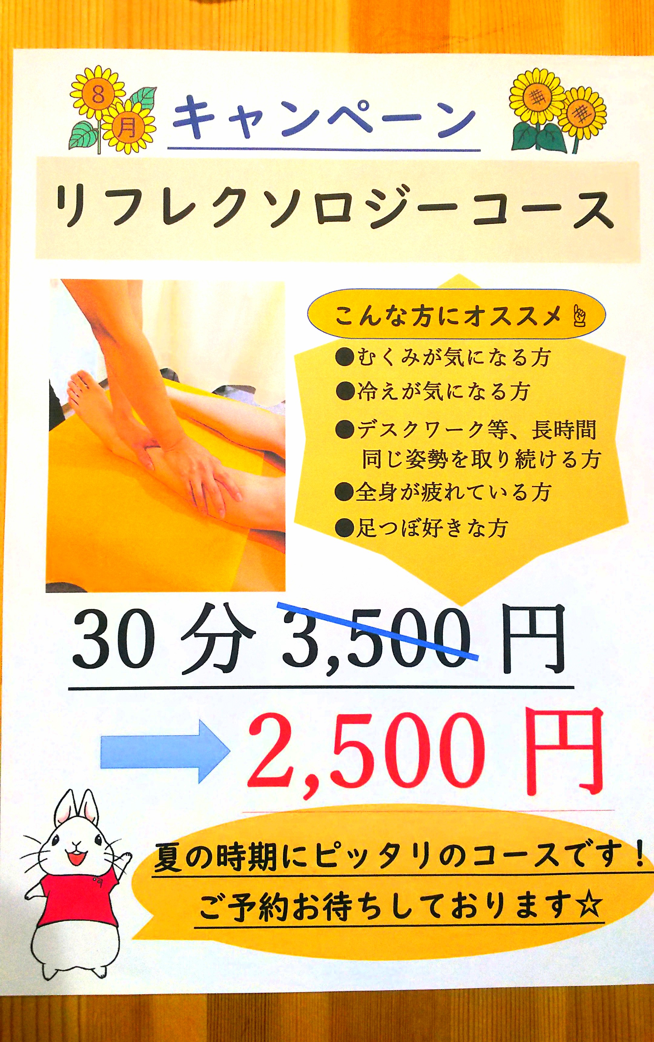 8月のキャンペーンお知らせ!